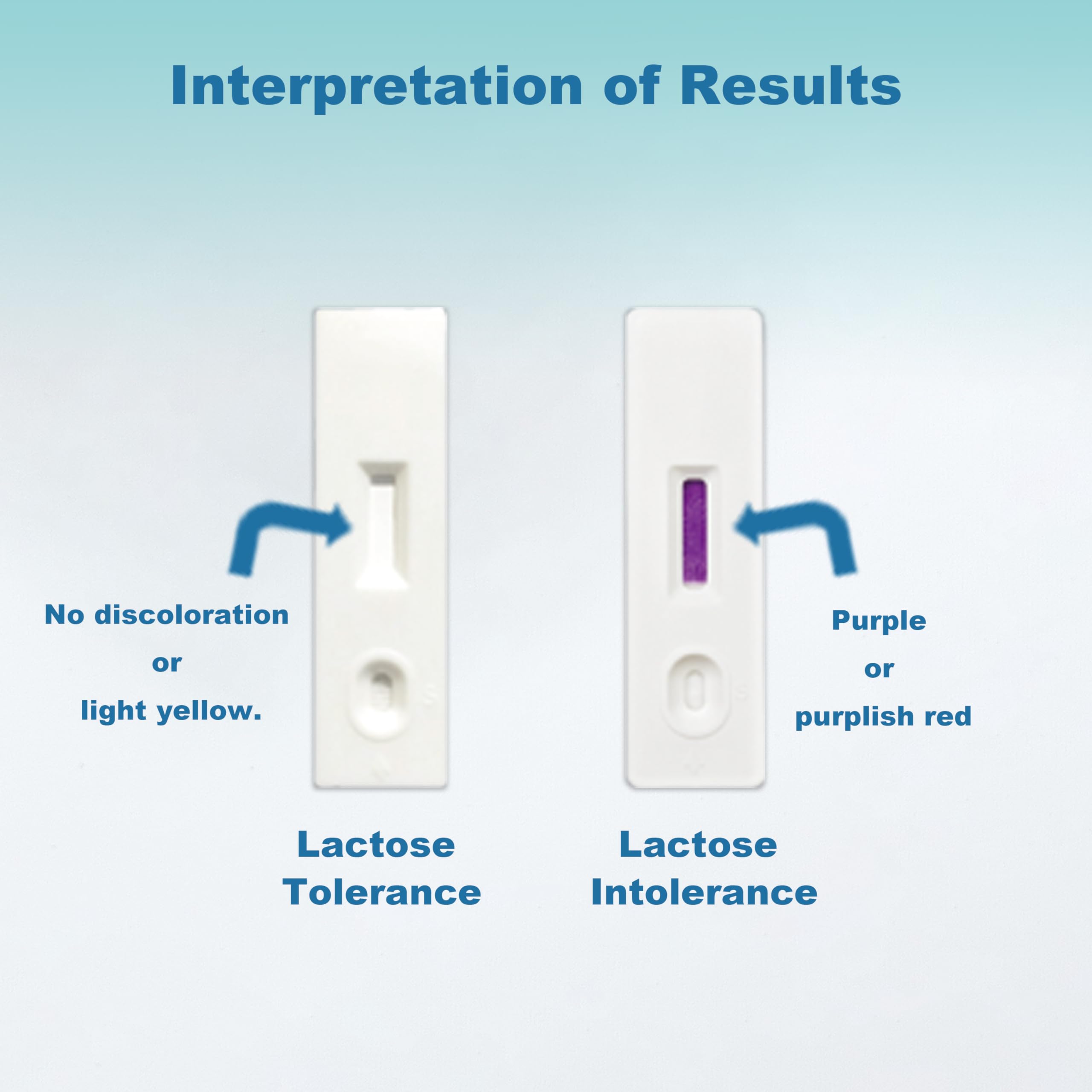 BlissKiss straw and manual, straightforward steps pictured.