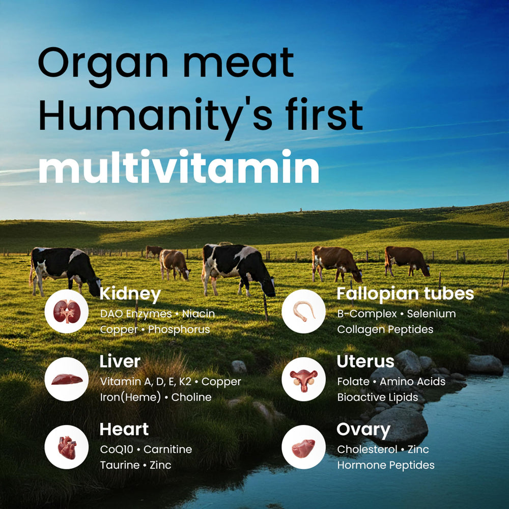 Bloomeo Beef Organ Ovary Capsules target cycle health support and overall vitality.