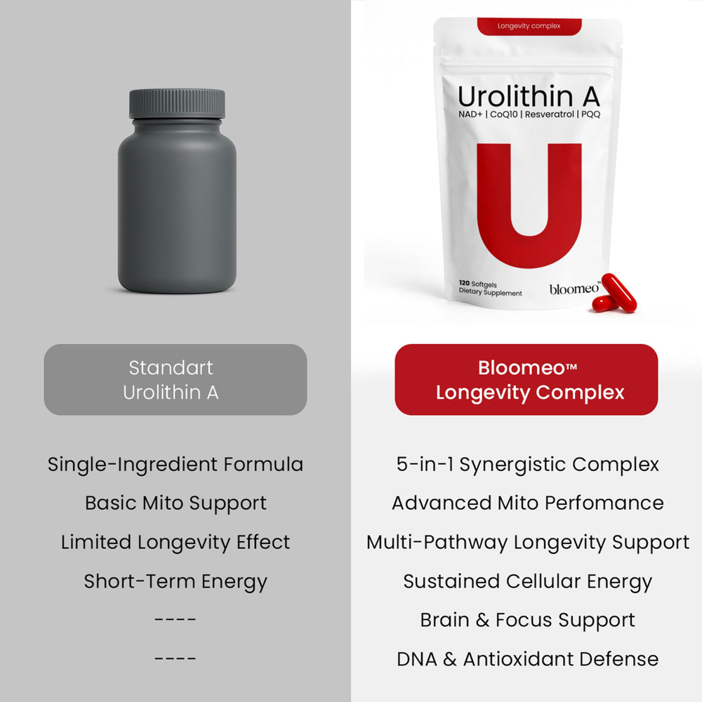 Bloomeo Brain Focus cognitive support bottle for enhanced focus