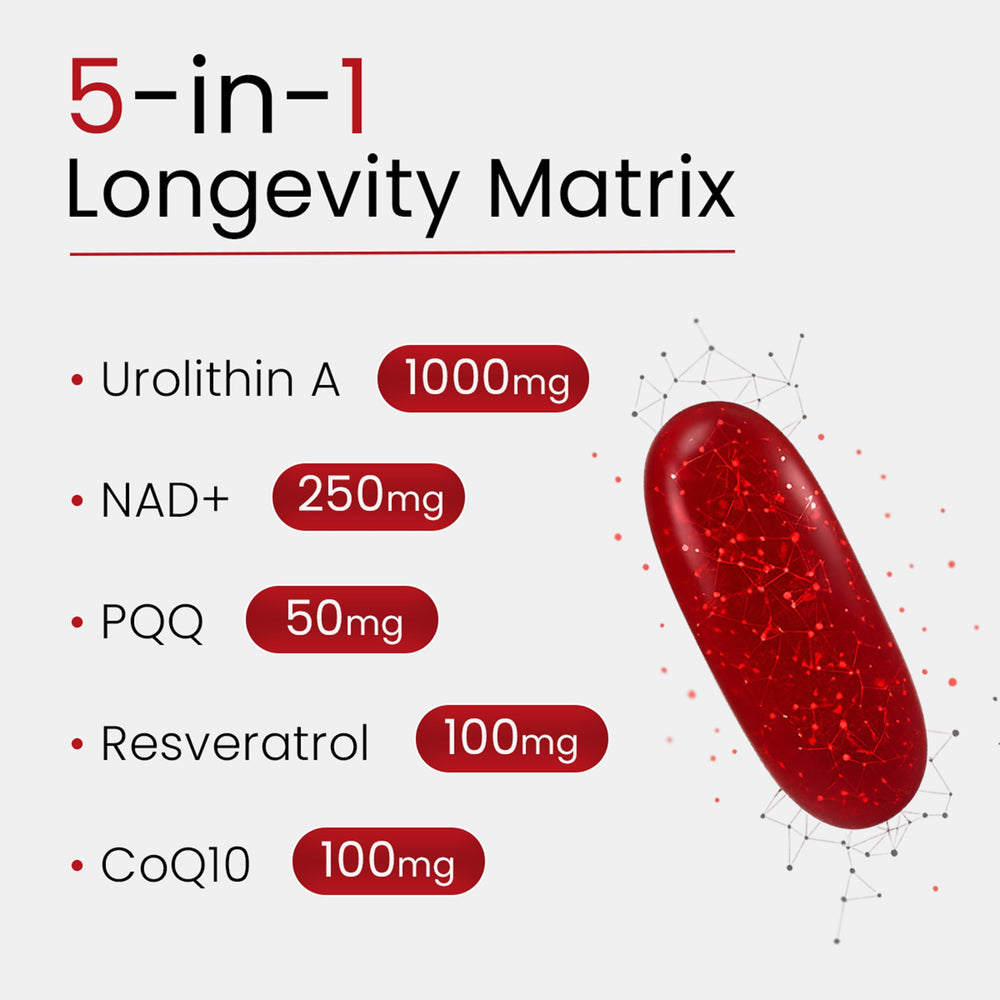 Bloomeo longevity 5in1 softgels offering comprehensive anti-aging support