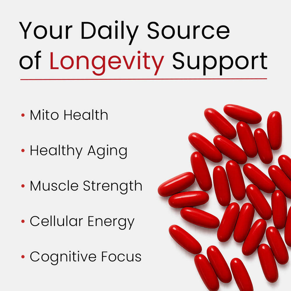 Bloomeo NAD+ PQQ energy capsules promoting sustained cellular energy
