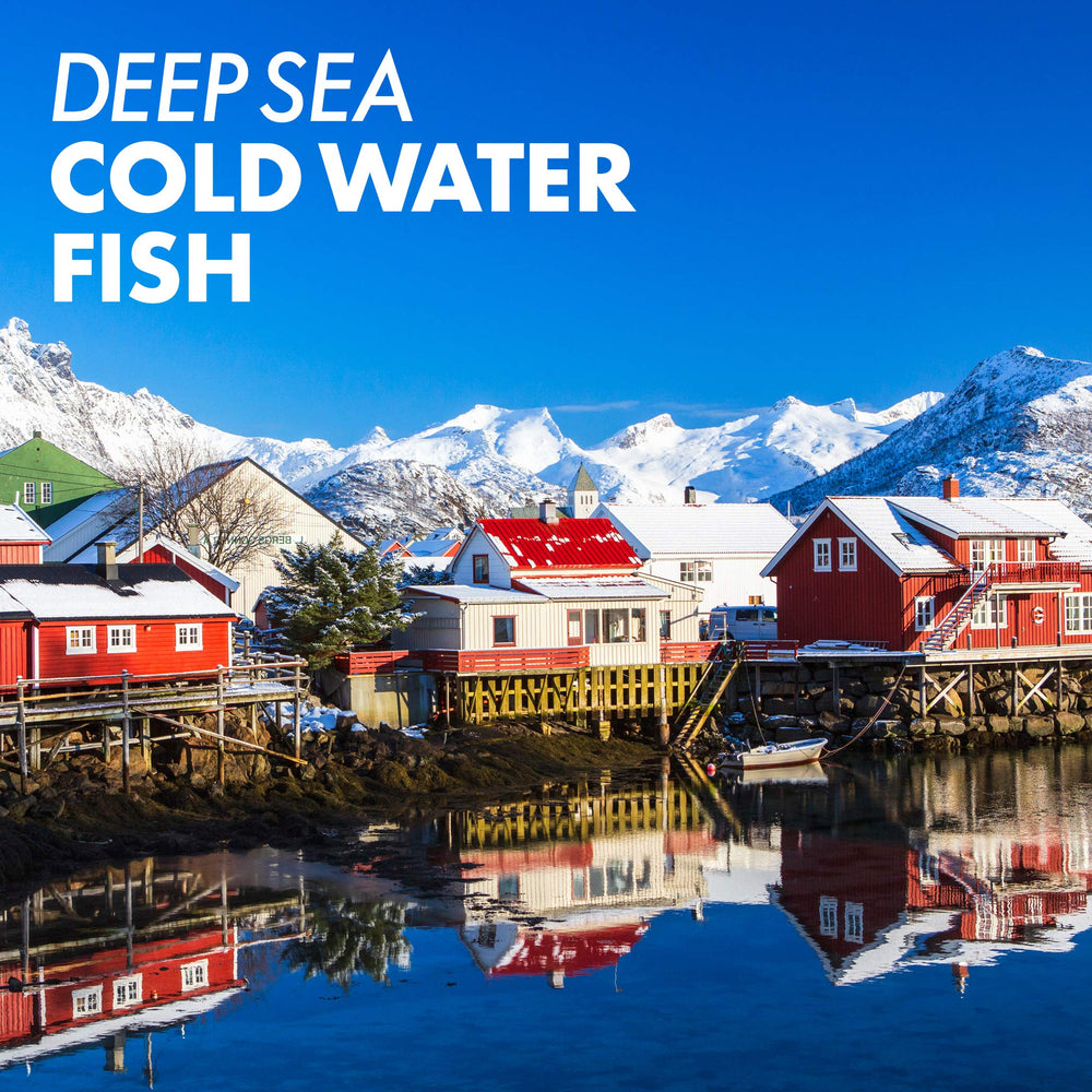 BlueBonnet gluten-free and dairy-free formula label on bottle