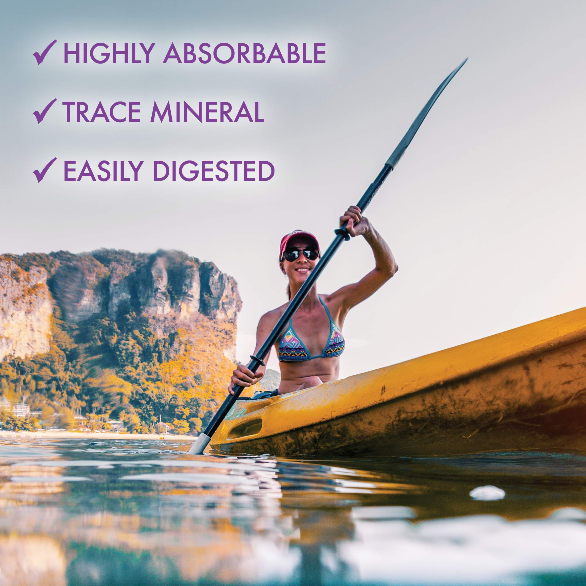 BlueBonnet Zinc Picolinate image showing allergen-free certifications and quality.