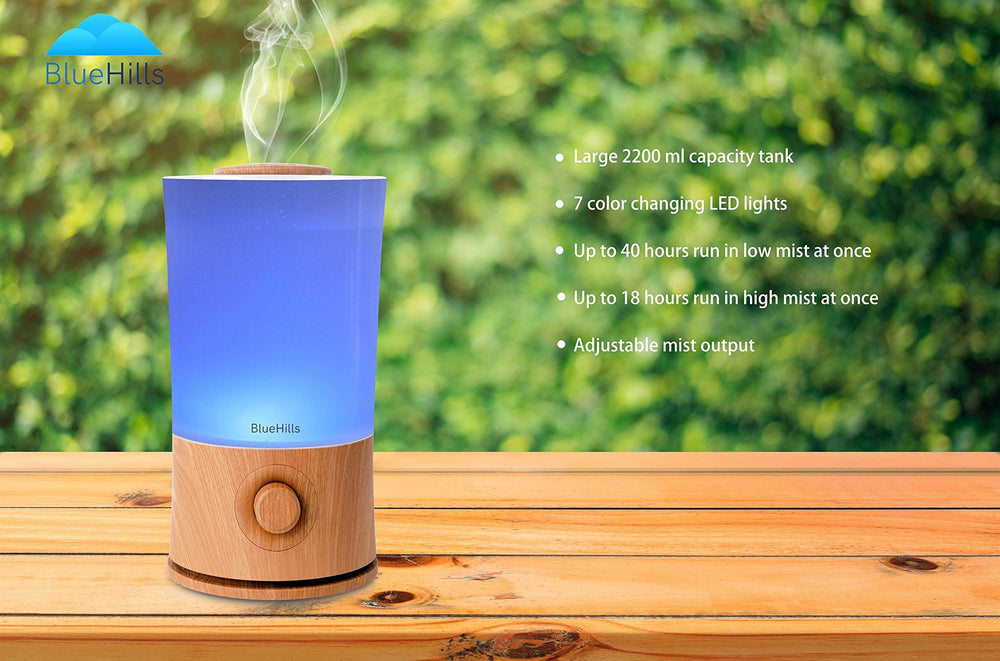BlueHills dorm and office diffuser ideal for small spaces and study areas.