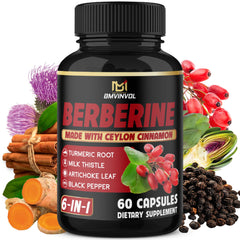 BMVINVOL berberine cinnamon capsules on a clean background for daily wellness