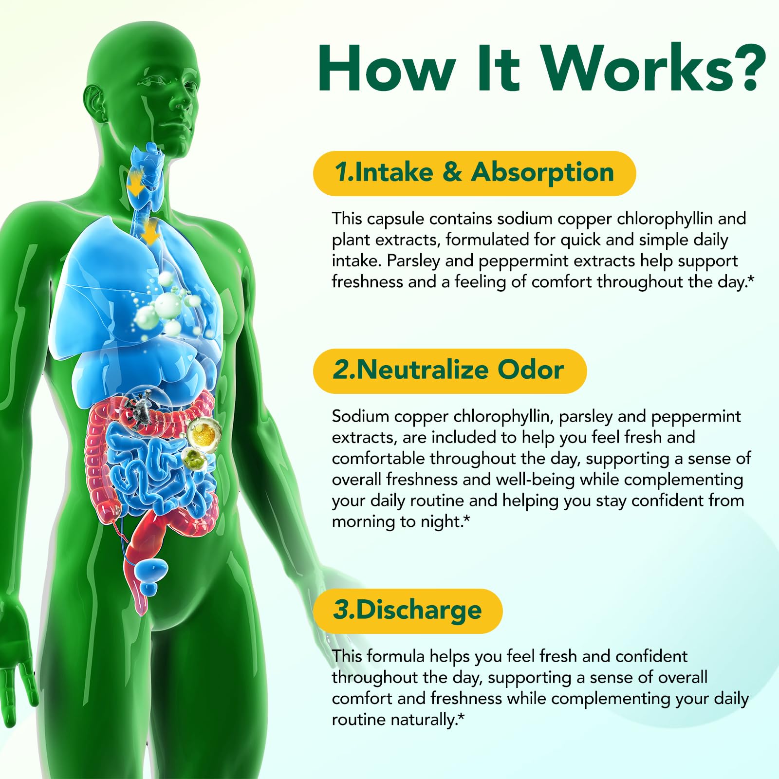 bnHUlMXw daily-use routine for a simple wellness habit