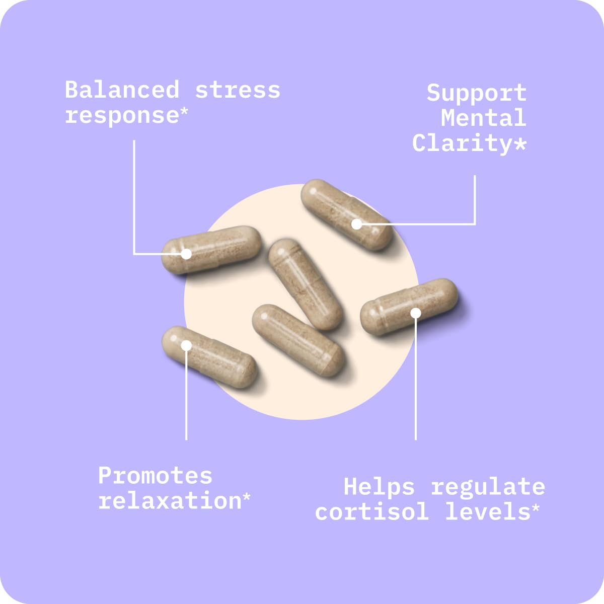 BodyBio Calm mood and focus concept image.
