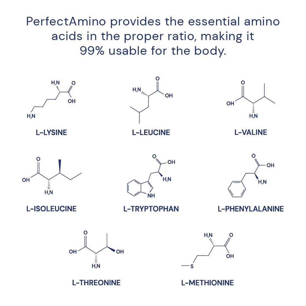 Label highlights nucleic acids and protein synthesis support features.