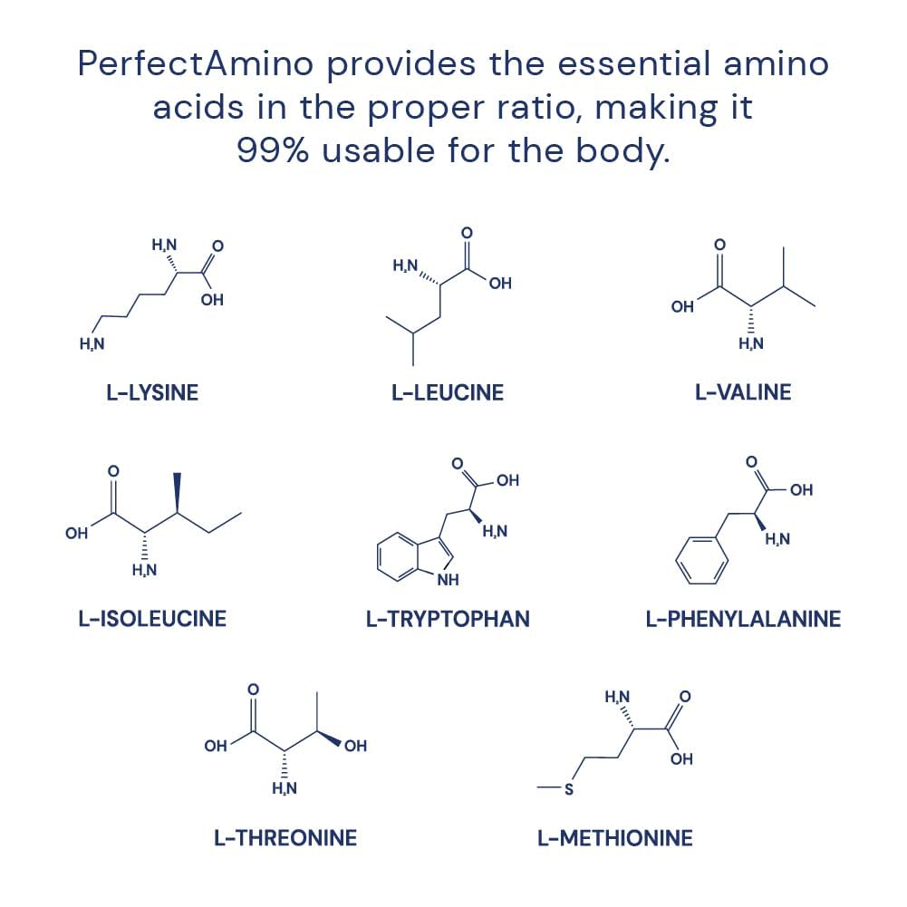 BodyHealth PerfectAmino nucleic acid graphics illustrate protein synthesis focus