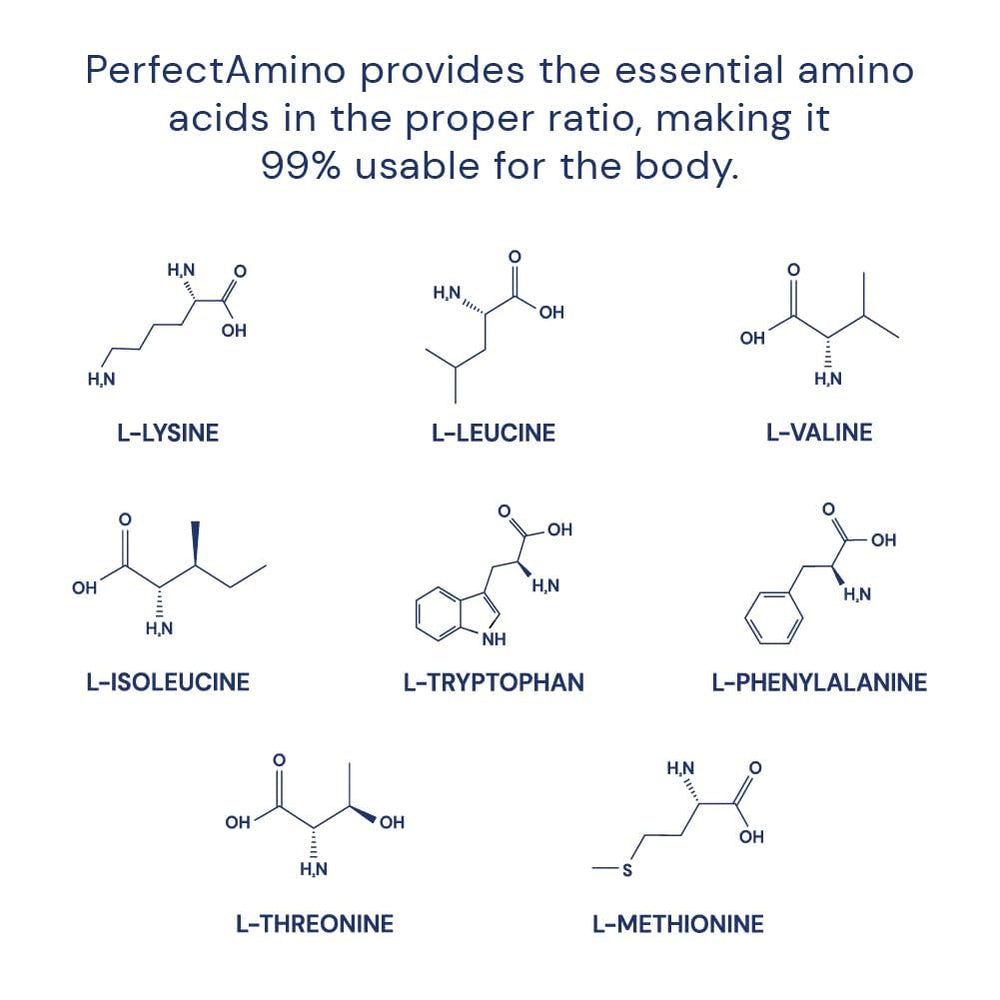 BodyHealth PerfectAmino nucleic acid graphics illustrate protein synthesis focus