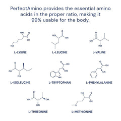 BodyHealth PerfectAmino nucleic acid graphics illustrate protein synthesis focus