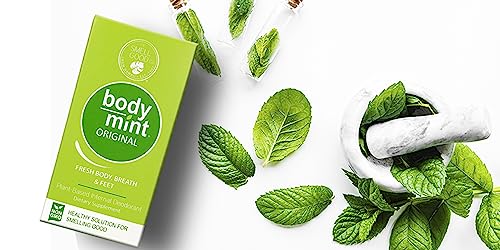 BodyMint fresh mint pack image suggests chlorophyll-rich formula for wellness.