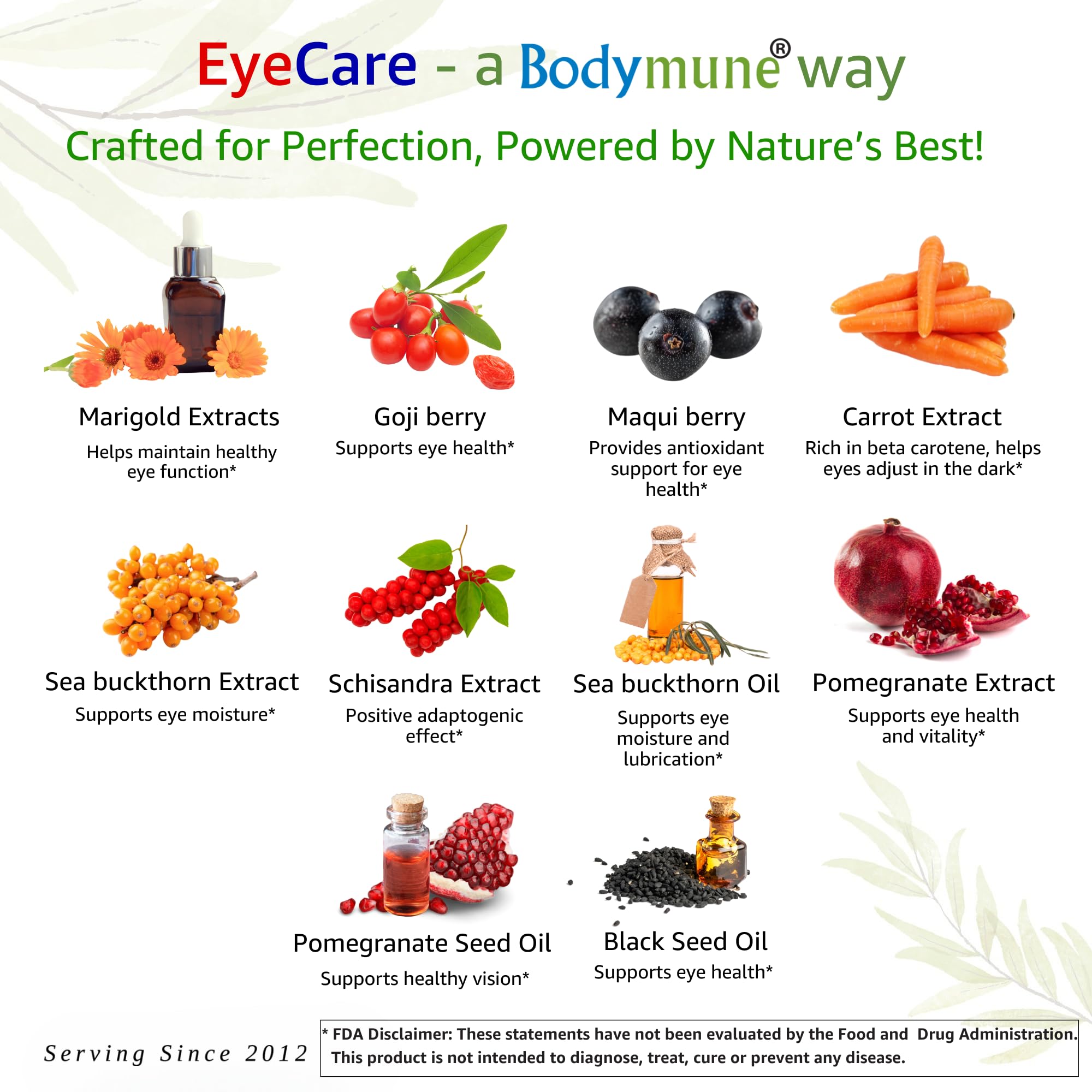 Bodymune Advanced EyeCare sea buckthorn oil drop illustrating nourishing oils