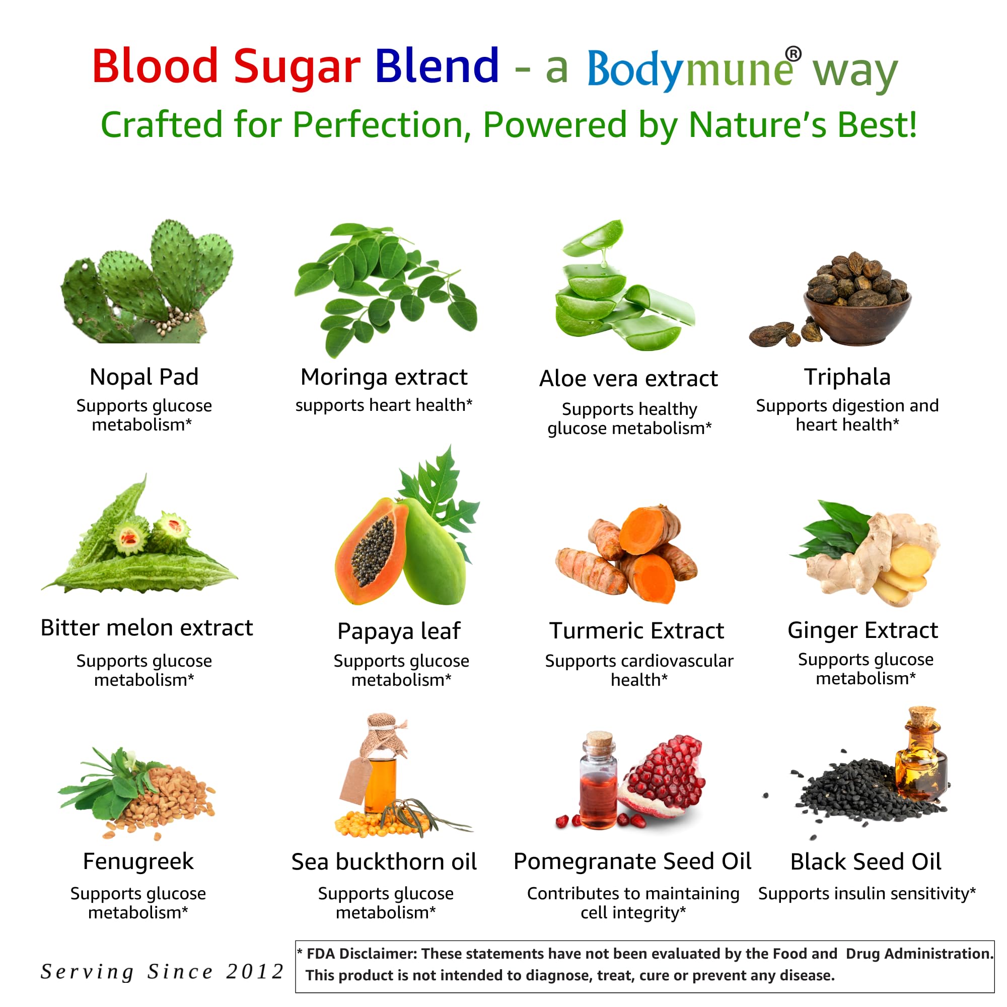 Bodymune Blood Sugar Blend herbal extracts visual highlighting potent botanicals for wellness