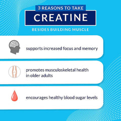 BodyTech Creatine Glutamine Beta-Alanine powder in shaker for seamless workouts