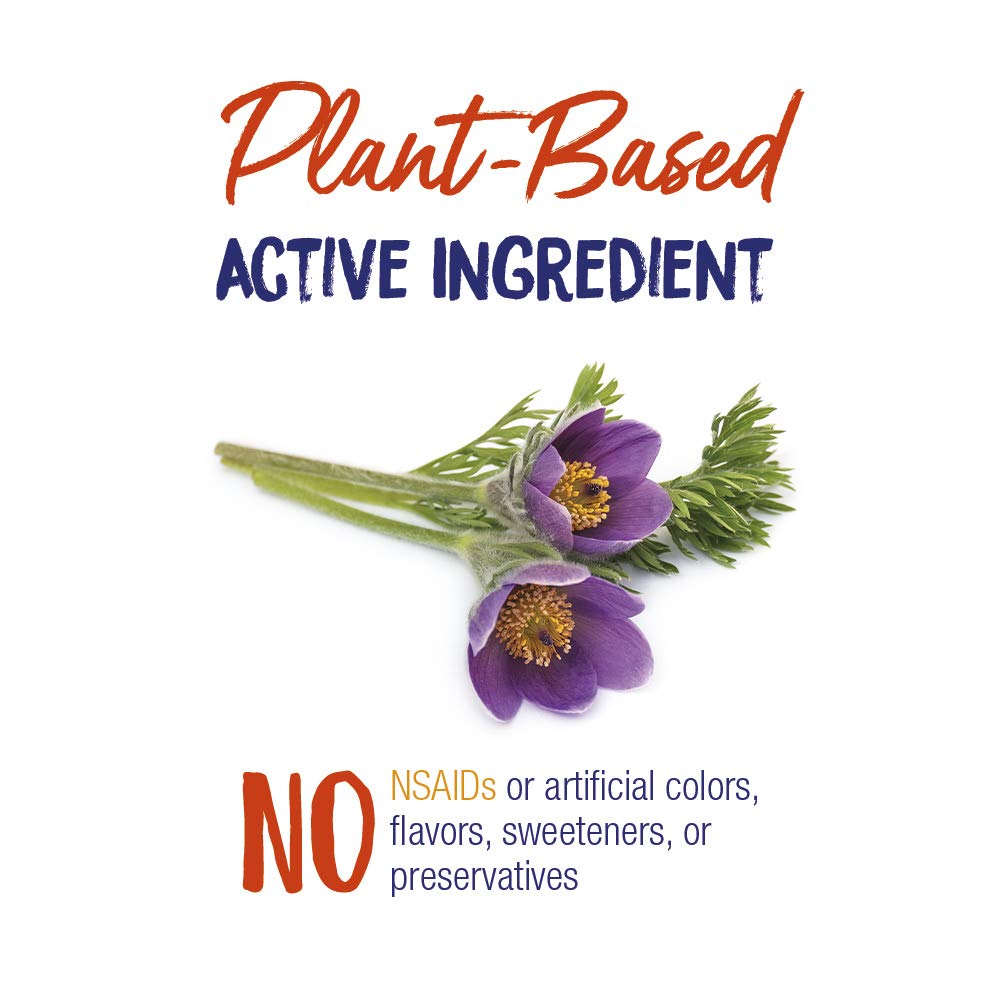 Boiron Pulsatilla 30C addresses a spasmodic, wet cough for gentle support.