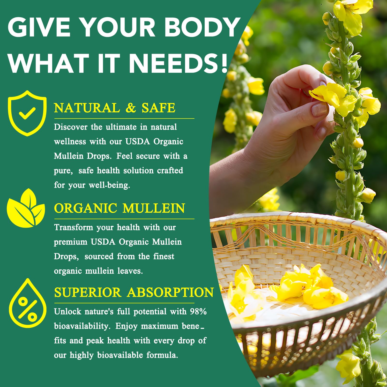BOIUOITI Mullein Drops immunity on box signals seasonal support
