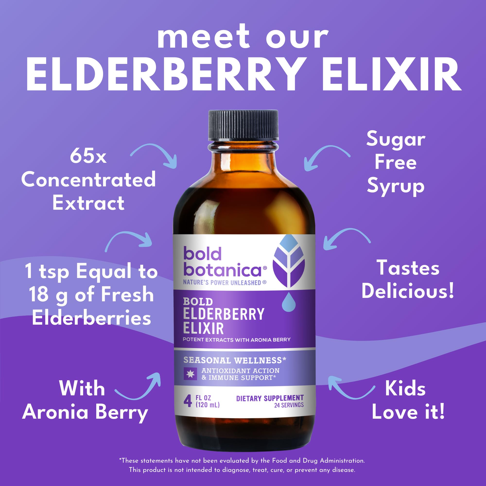 Bold Botanica Elderberry Elixir elderberries close-up signals premium Haschberg berry extract.