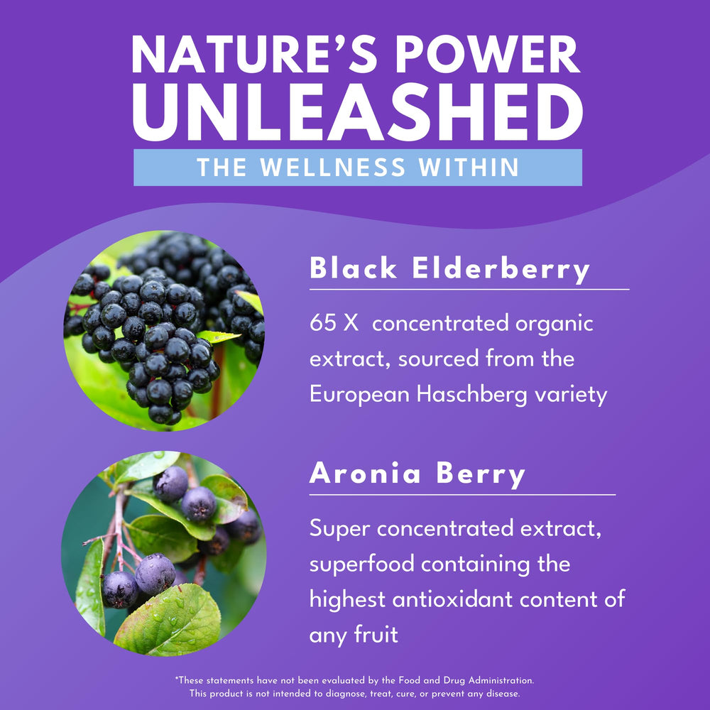 Bold Botanica Elderberry Plus ingredients graphic highlighting nutrients and concentration
