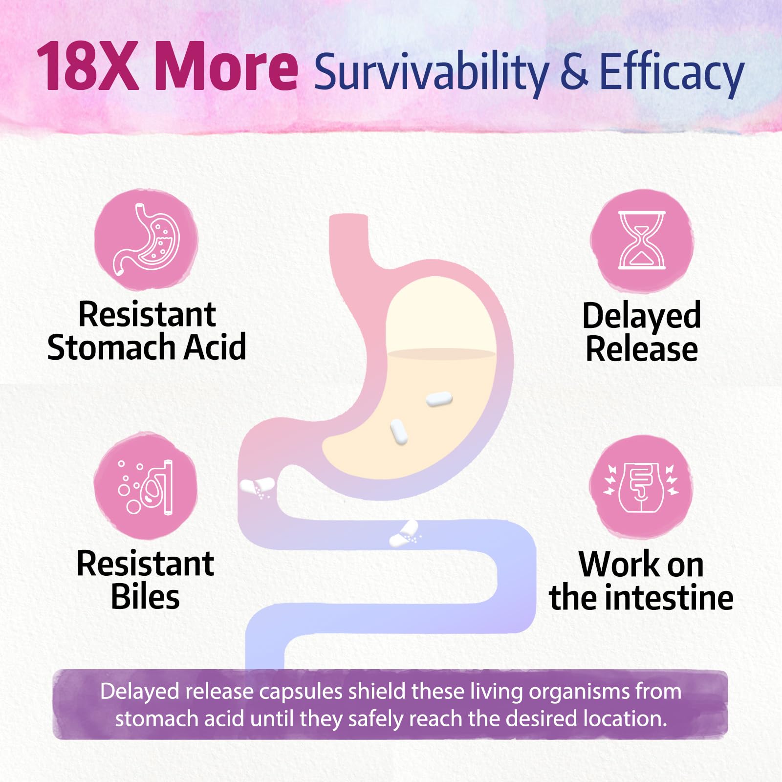 Bonawell Probiotics bottle-back-label close-up showing ingredients and shelf-stable promise.