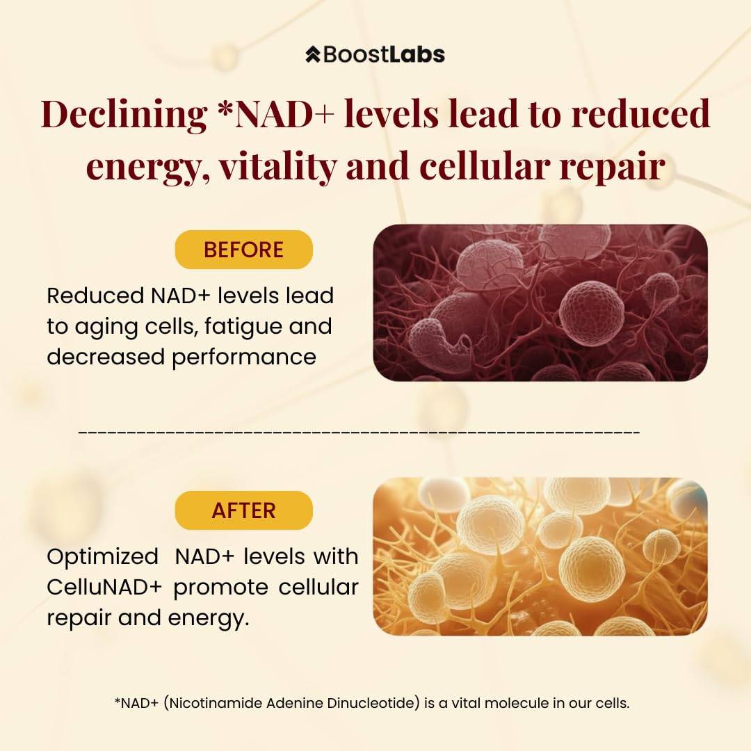 Boost Labs Liposomal NAD+ energy-boost image implies steady vitality throughout the day.