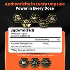 BOSCENT USA GMP facility image signaling trusted production quality