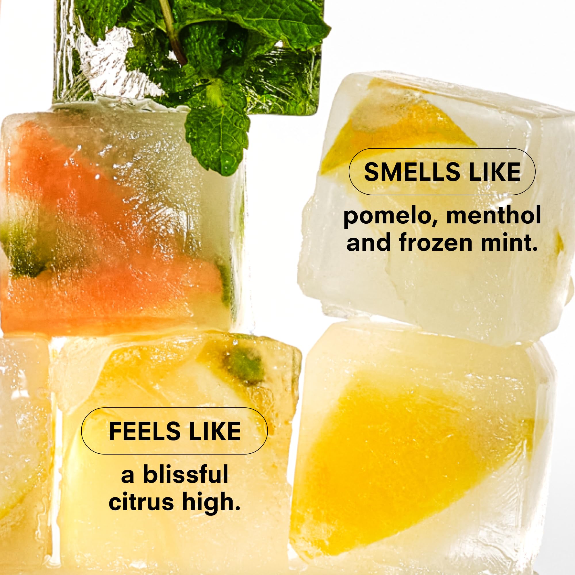 Pocket friendly size of Boy Smells Citrus Sniffer fits bag or pocket.