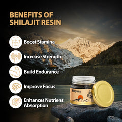 Boysea Shilajit minerals chart shows 85+ minerals for holistic support.