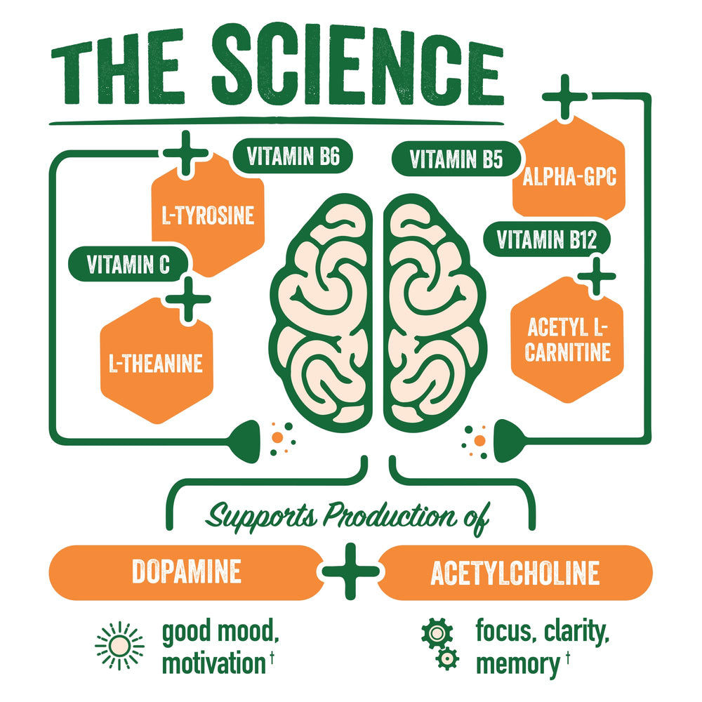 BrainJuice Active shot ingredients blend highlighting alpha GPC and B vitamins.
