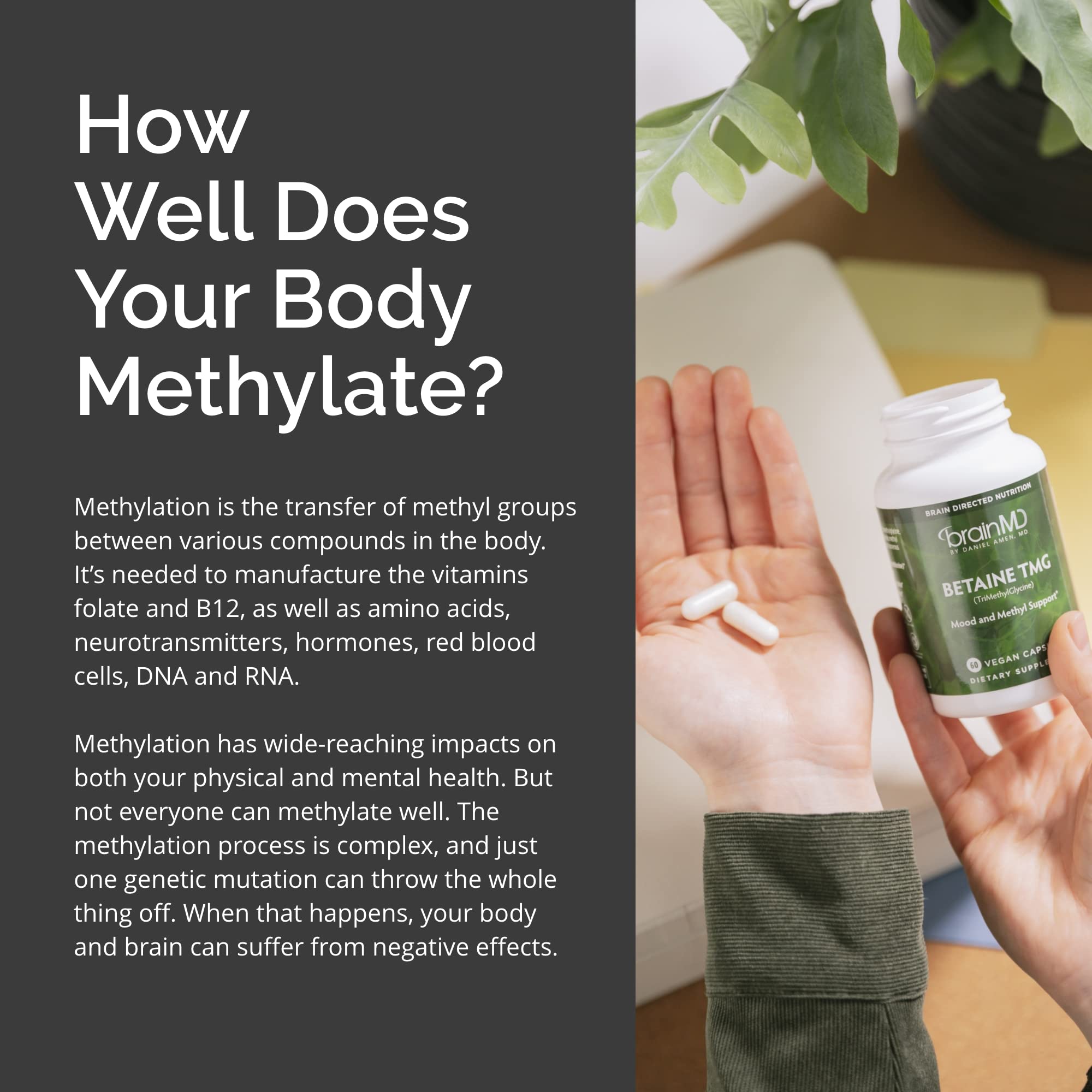 Betaine TMG capsules ready to swallow for steady daily routine