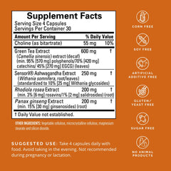 BrainMD Dr Amen Focus Energy bottle back with ingredients and usage details