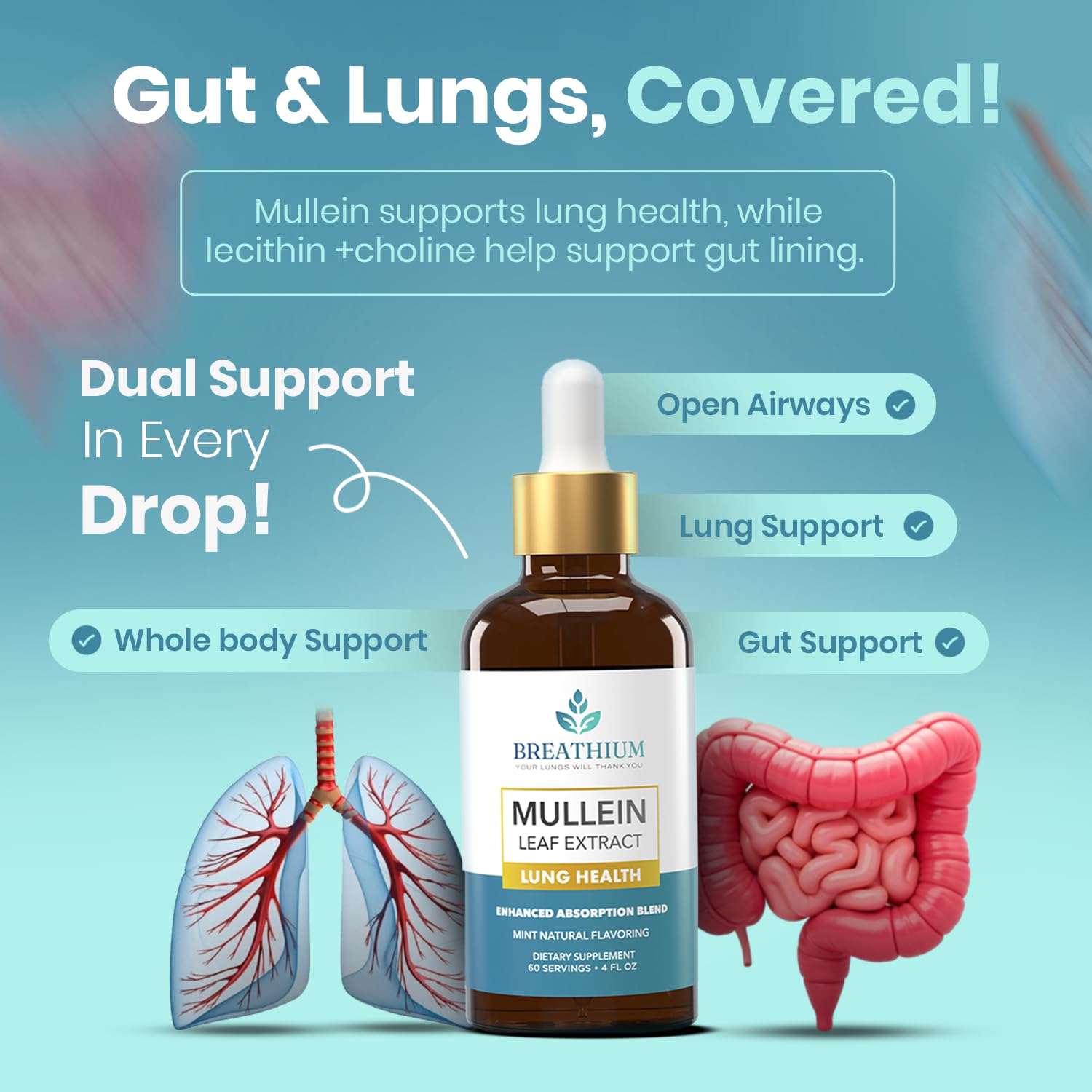 Breathium 4-in-1 Mullein Drops precision dosing with dropper-use