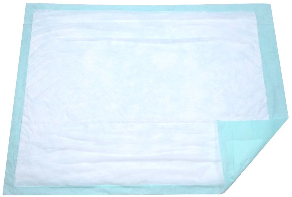 BrightCare extra-large bed pad package showing easy protection