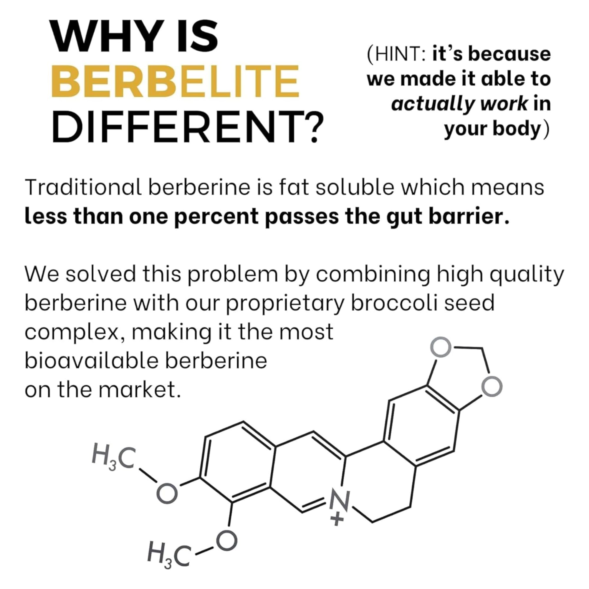 Made in the USA label on BerbElite bottle for quality assurance.