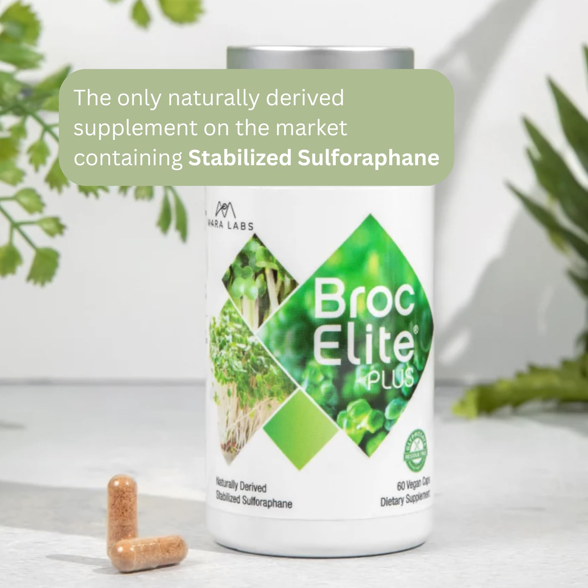 BrocElite information card on packaging explains quick morning and evening dosing