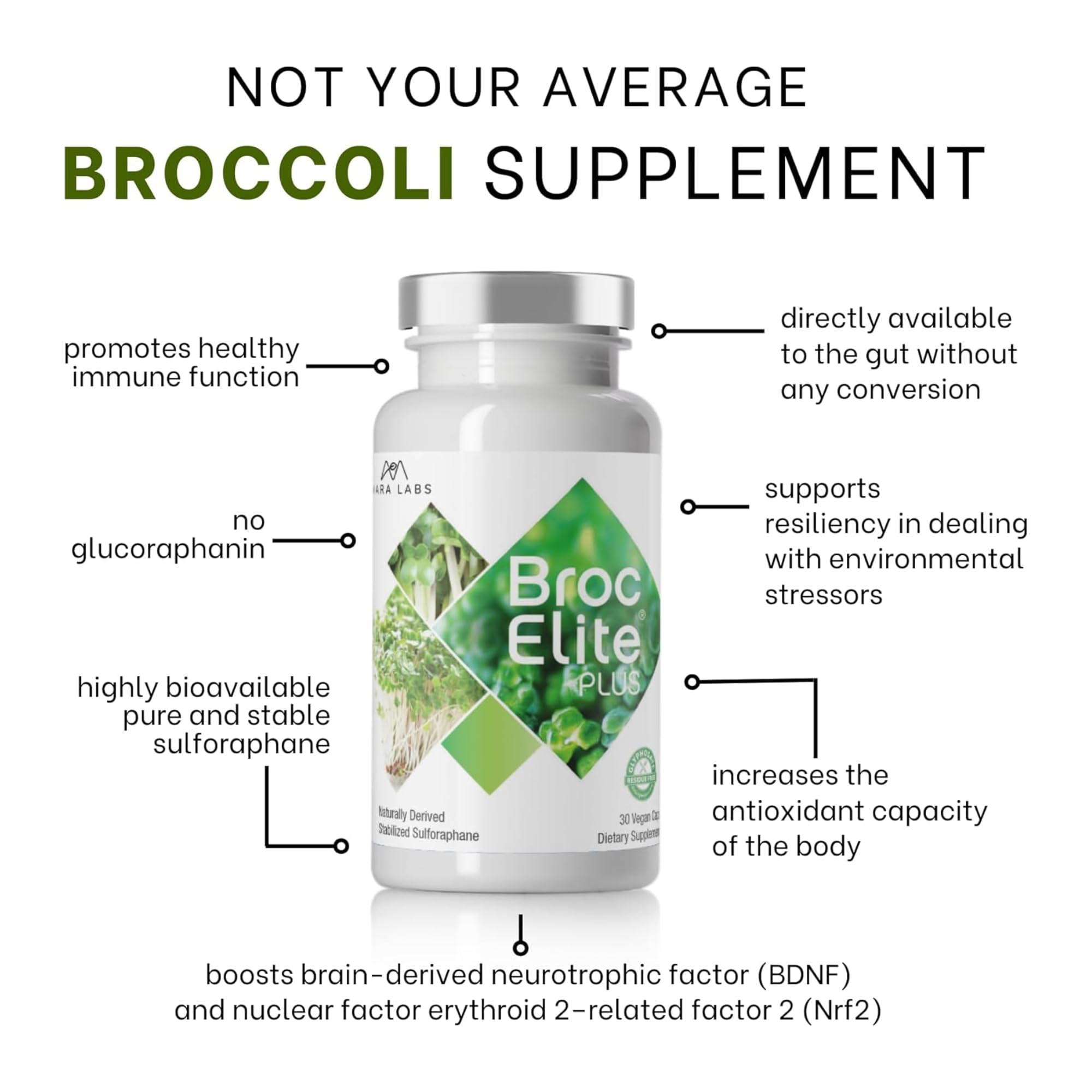 Two capsules per day recommended for easy routine integration with BrocElite Plus.