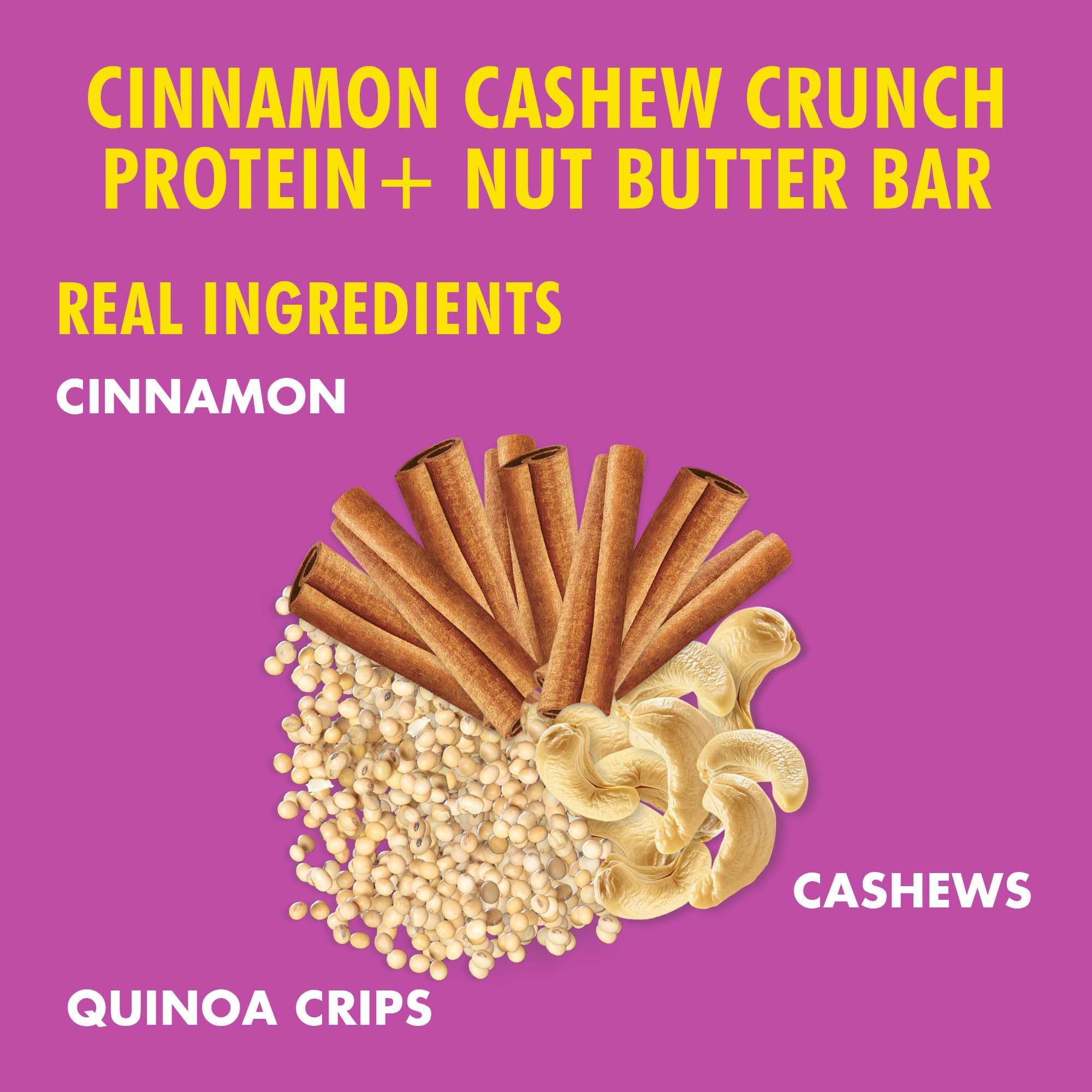 Graphic detailing plant-based protein and prebiotic fiber in the B.T.R. Nation bar.