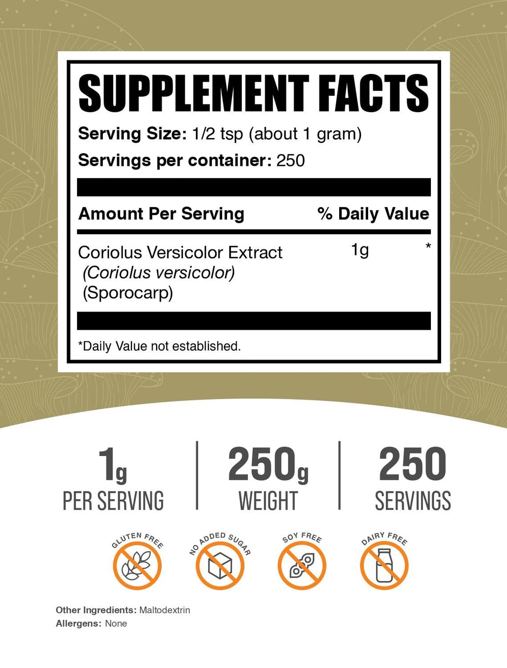 BulkSupplements Turkey Tail powder with scoop ready for easy mixing.