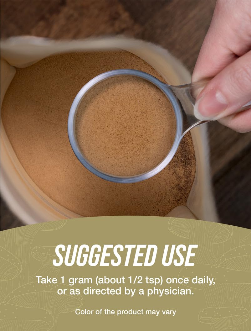 Close-up of chaga powder texture ready to blend into drinks