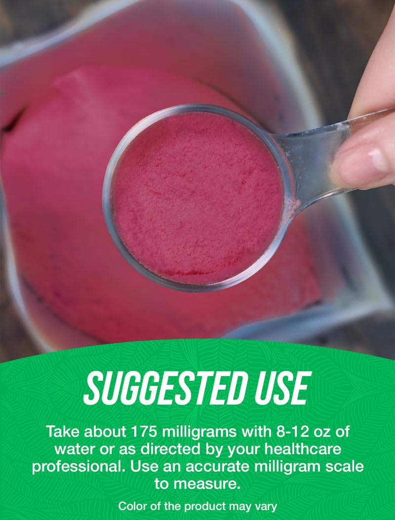 Bulksupplements Elderberry Extract Powder container with label highlighting quality