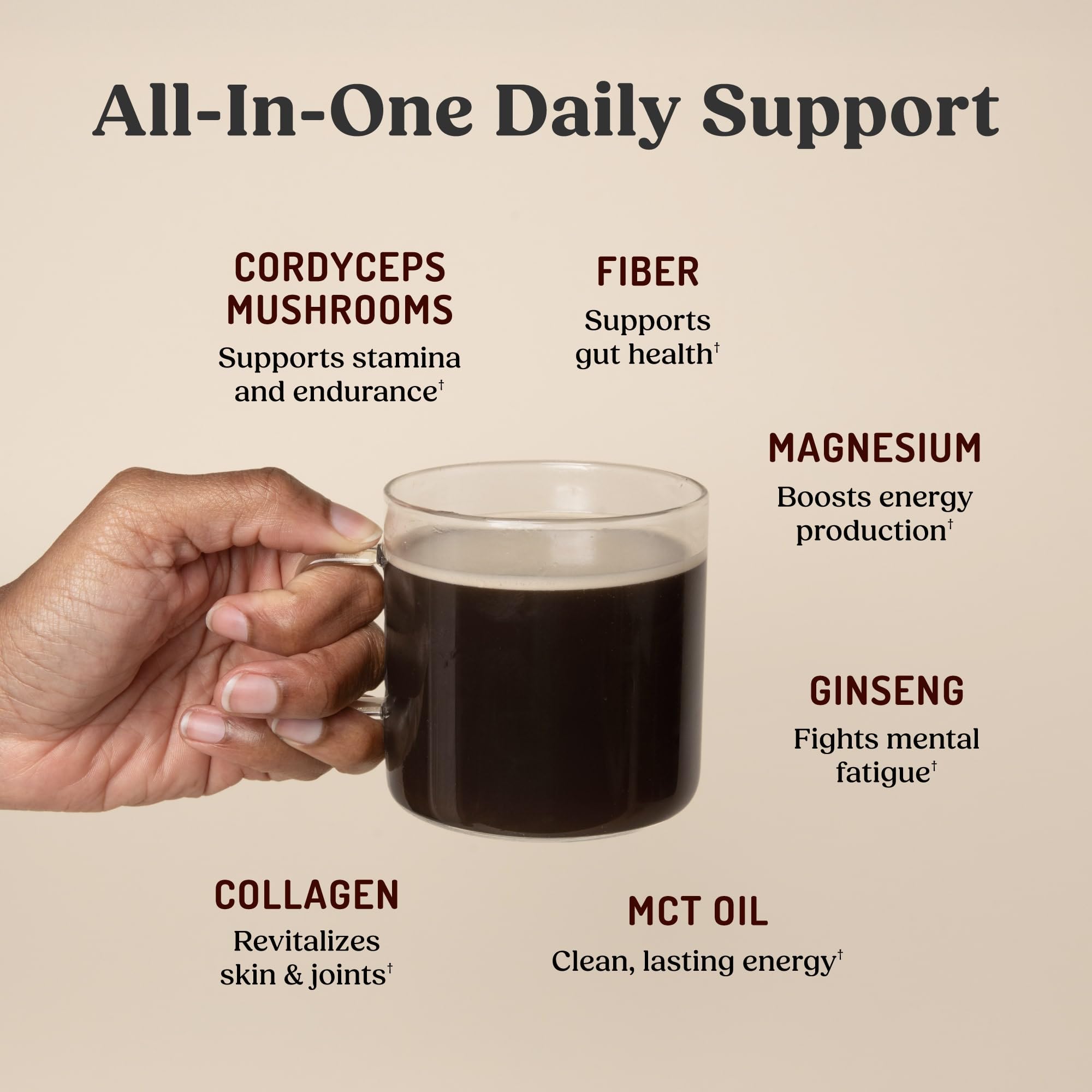 Kitchen scene with Bulletproof protein displayed for easy daily use.