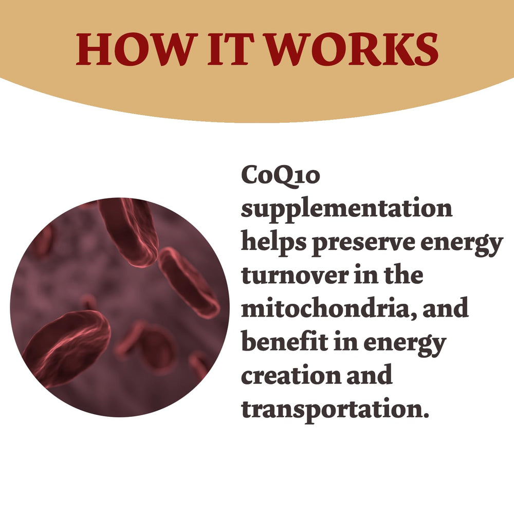Bumjazz CoQ10 label close-up confirms non-GMO and gluten-free formulation.