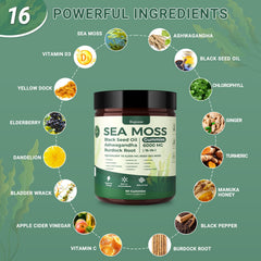 Buporai Sea Moss Gummies poured from the bottle for easy daily nutrition