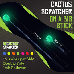 Cactus Scratcher compact folded form fits purses, bags, desks for portability.
