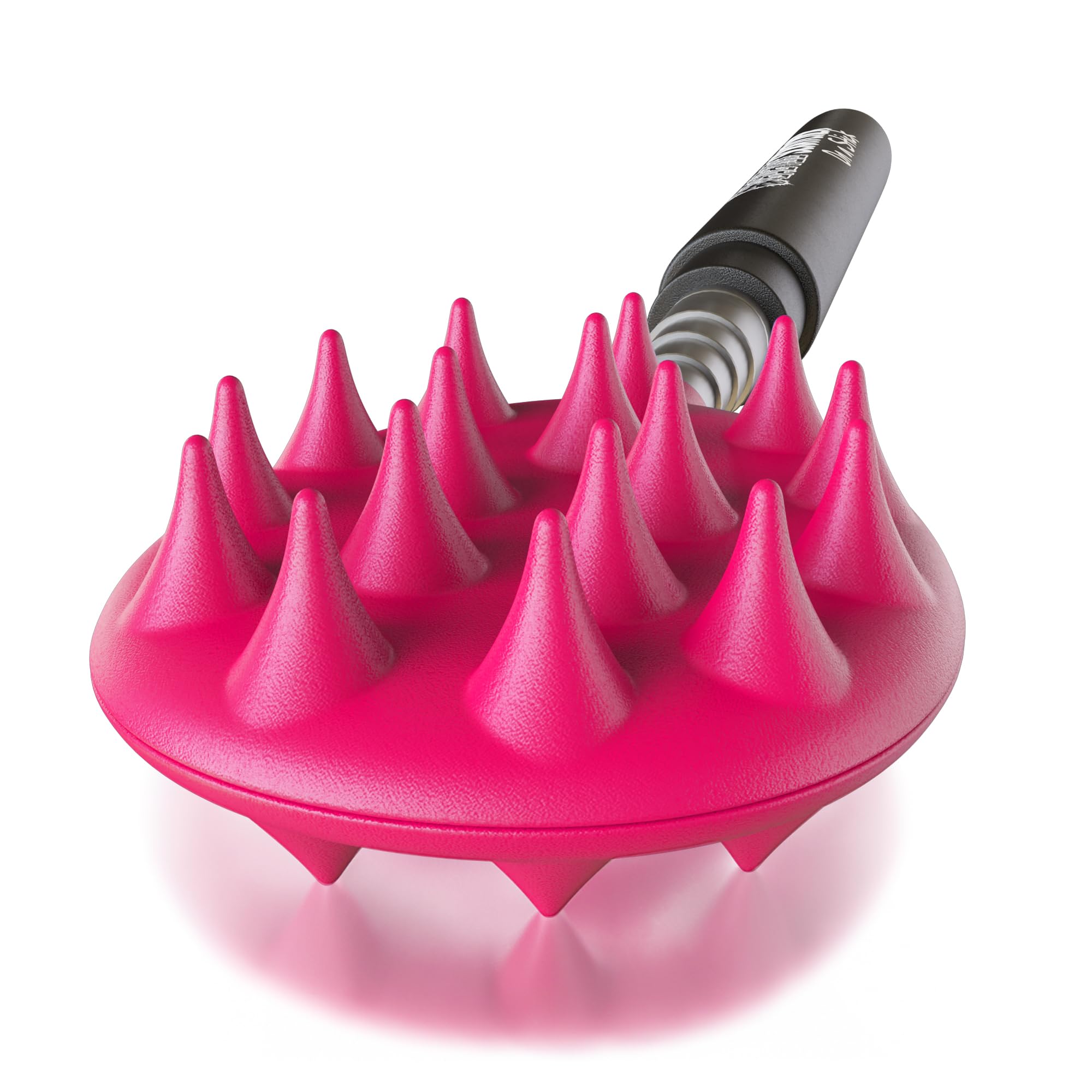 Cactus Scratcher diseño portátil listo para cualquier ocasión
