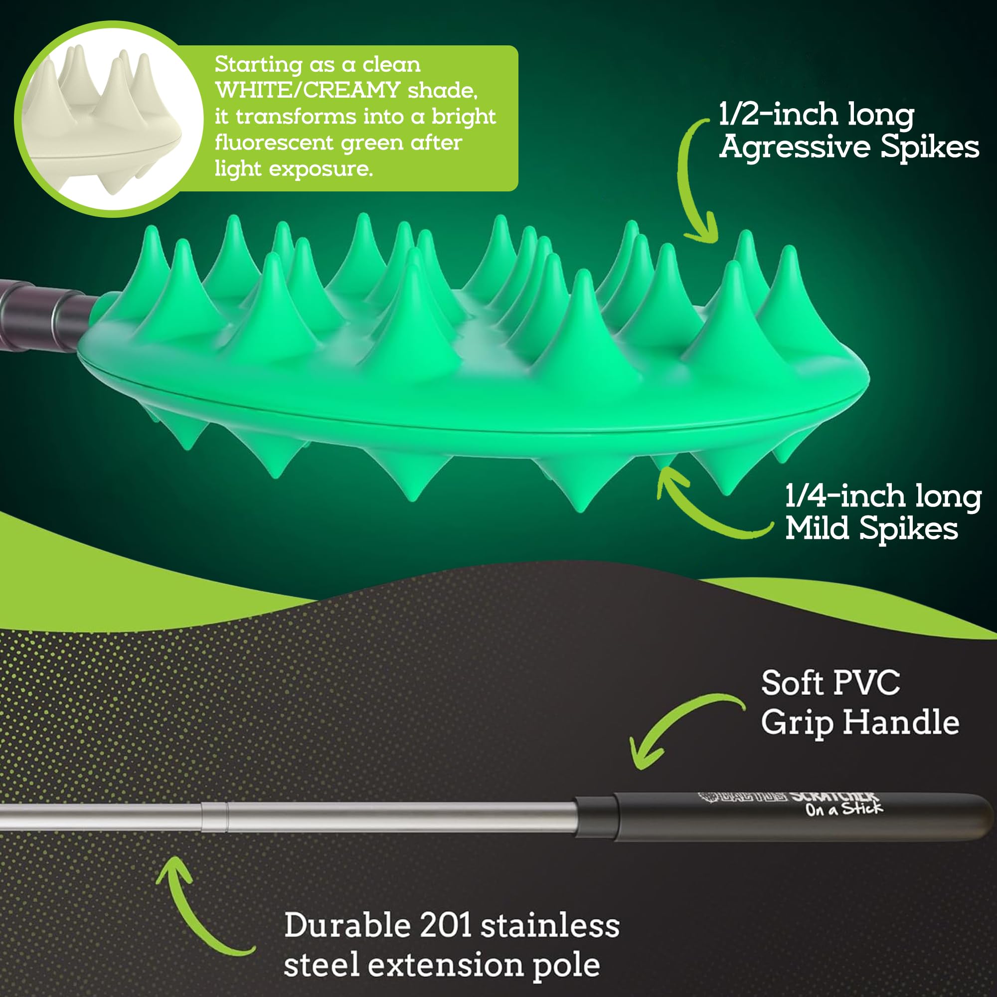 Cactus Scratcher dual-ended design offers gentle and deep scratching options.