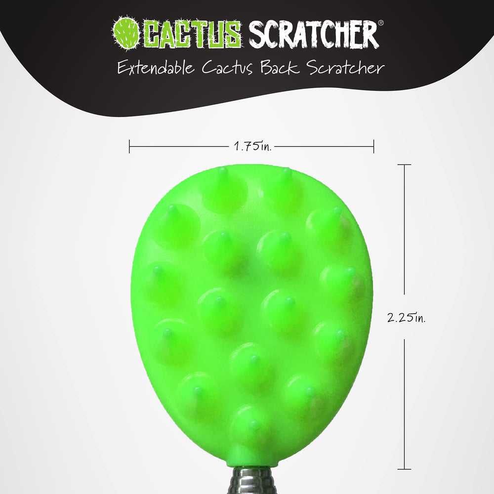Cactus Scratcher locking mechanism keeps chosen length secure