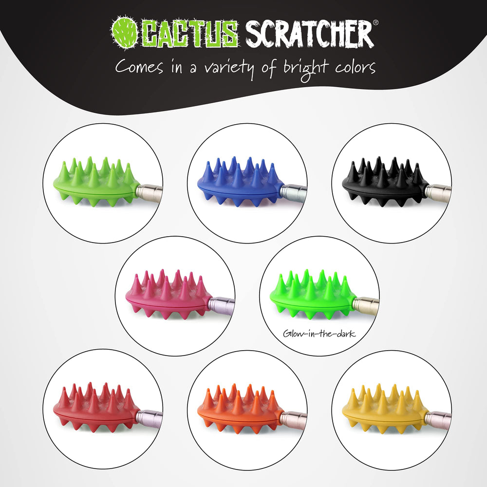 Cactus Scratcher pet-friendly design suits dogs and cats