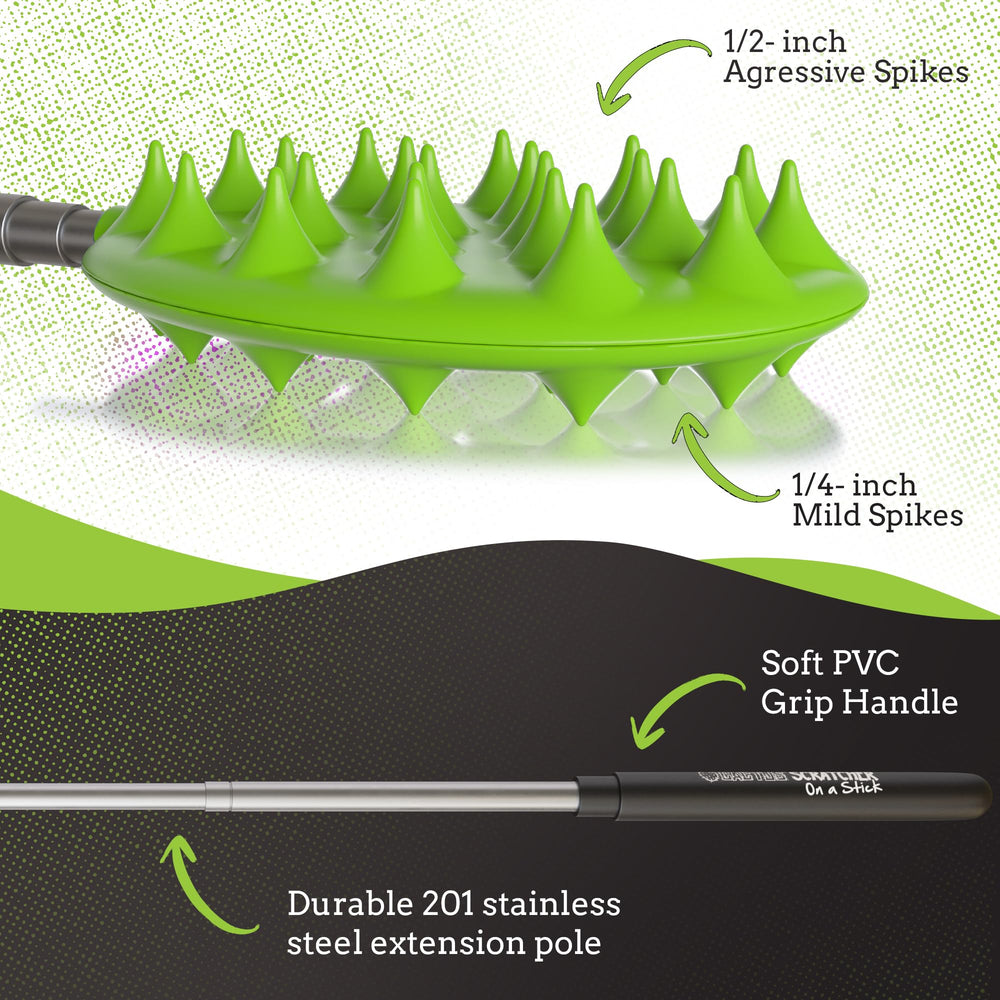 Cactus Scratcher demonstrates dual-ended scratching options for different textures.