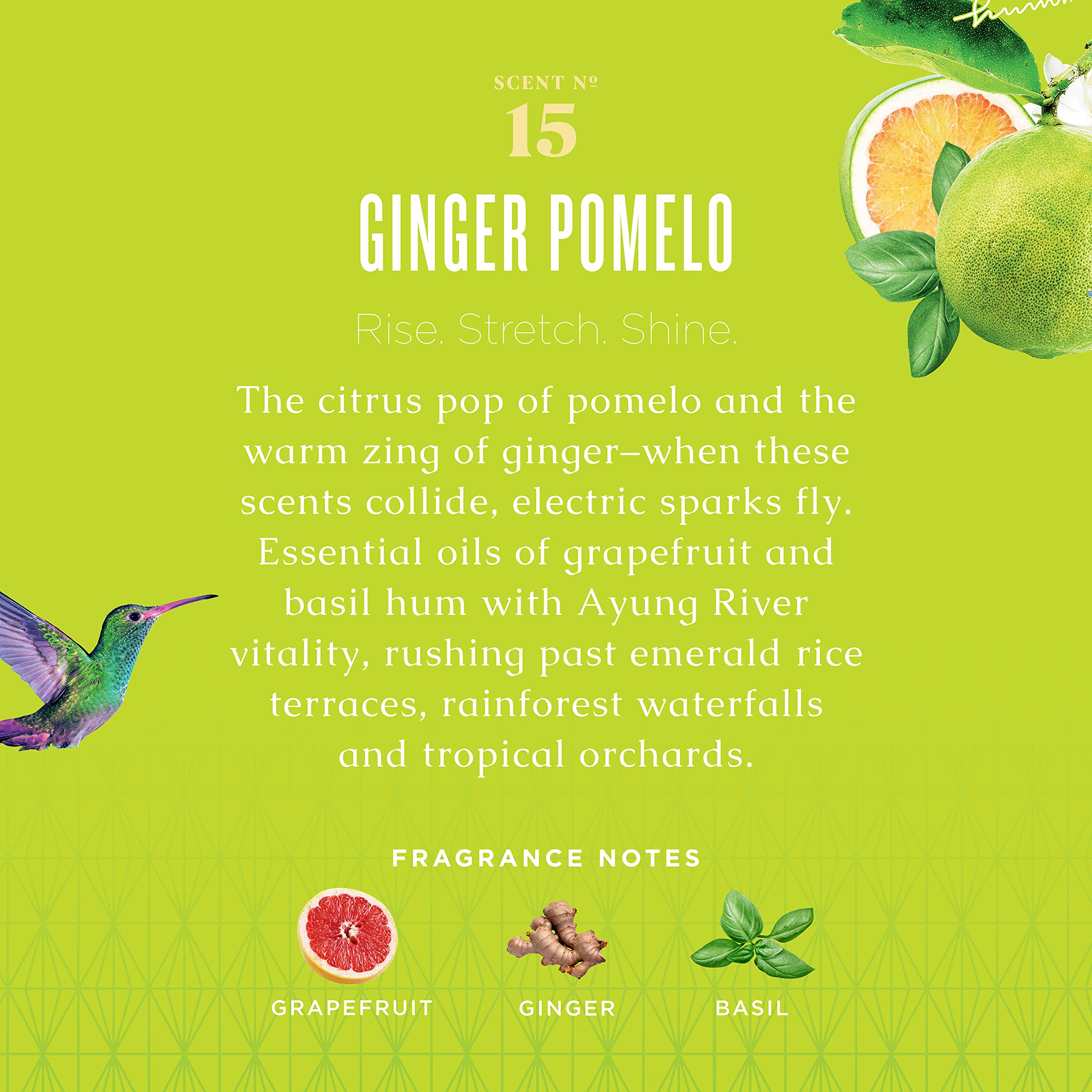 Etiqueta frontal elegante de Caldrea Ginger Pomelo para decorar